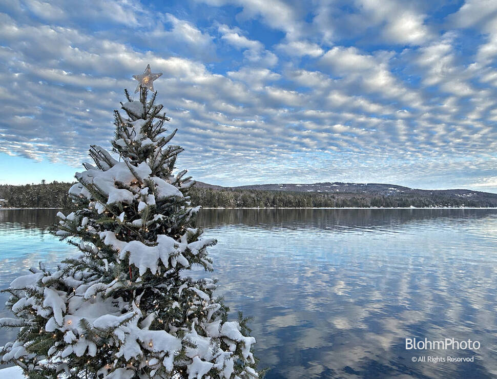 Christmas Tree, Lake and Sky