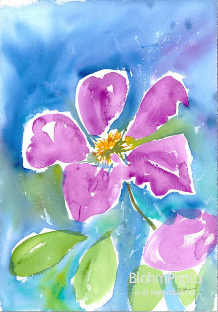 Clematis, Watercolor