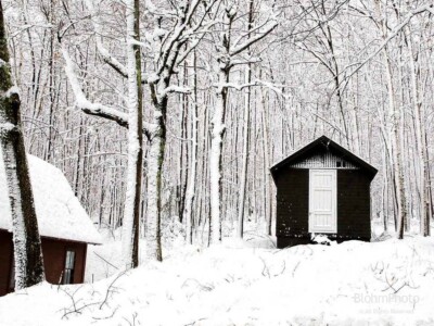 1912 Ice House