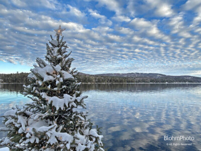 Christmas Tree, Lake and Sky