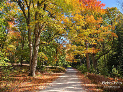 Fells' Road