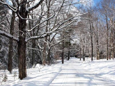 Fells Road in Winter