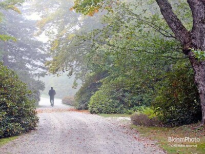 Morning Walk at The Fells