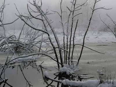 Reflections on Water Row, Sudbury, MA