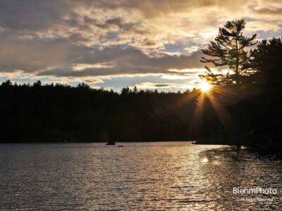 Sunset and Tree, Fishers Bay, Lake Sunapee