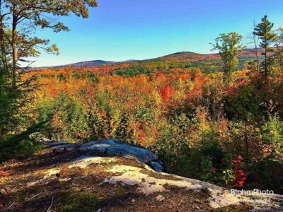 Sunset Hill in Autumn