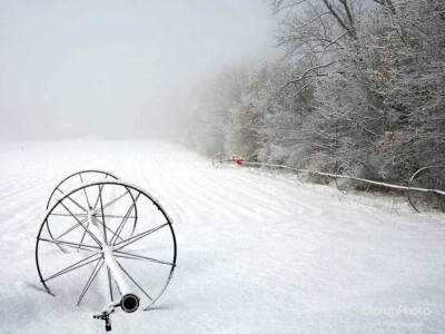 Waiting for Spring, Sudbury, MA