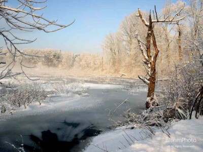 Water Row Winter Landscape 3, Sudbury, MA