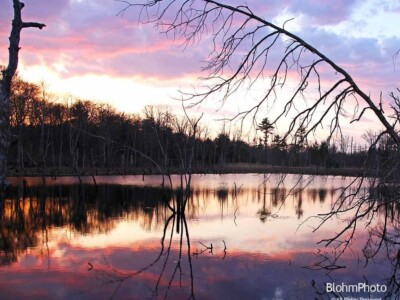 Wetland Sunset, Water Row, Sudbury
